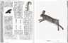 EXEX Vienna Wien Gabriele Rothemann Book Design Editorial Design Elsa Kubik Katharina Luger Christian Schlager